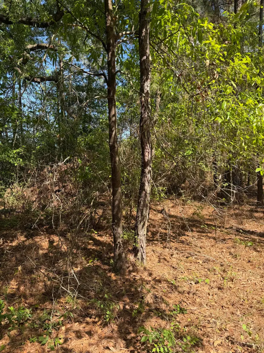 Us-190, Merryville, LA 70653 - #3