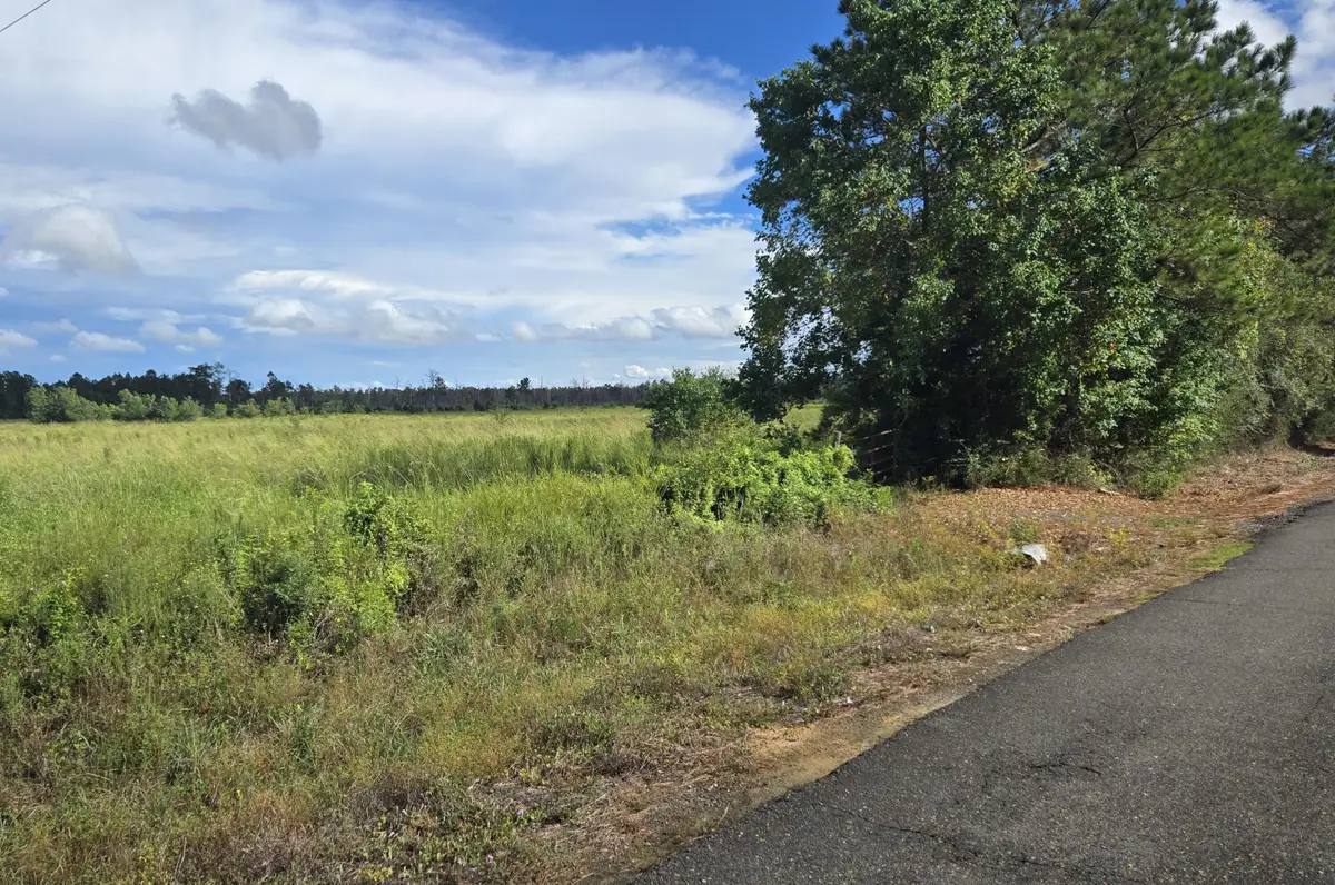 Planer Mill Rd, Deridder, LA 70634 - #1