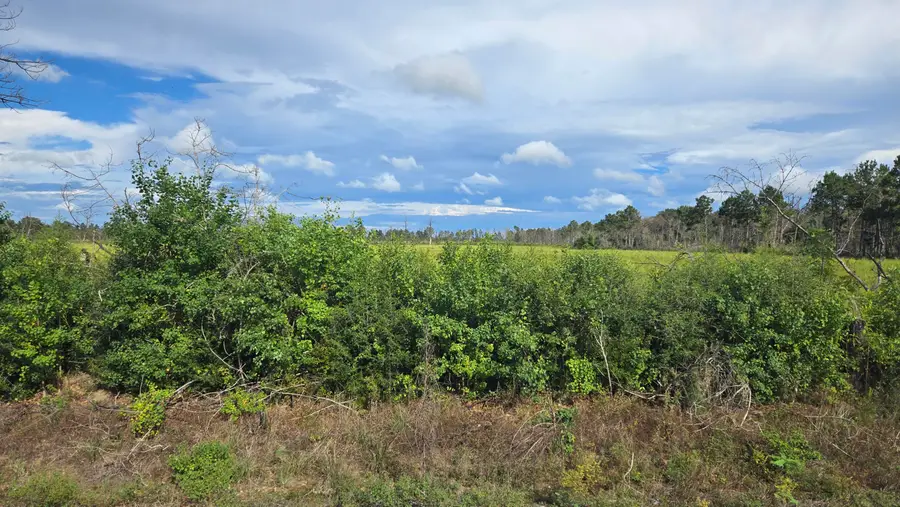 Planer Mill Rd, Deridder, LA 70634 - #2