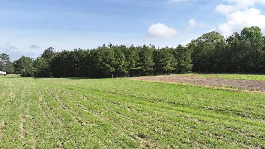 Ferguson, Florien, LA 71429 - #2