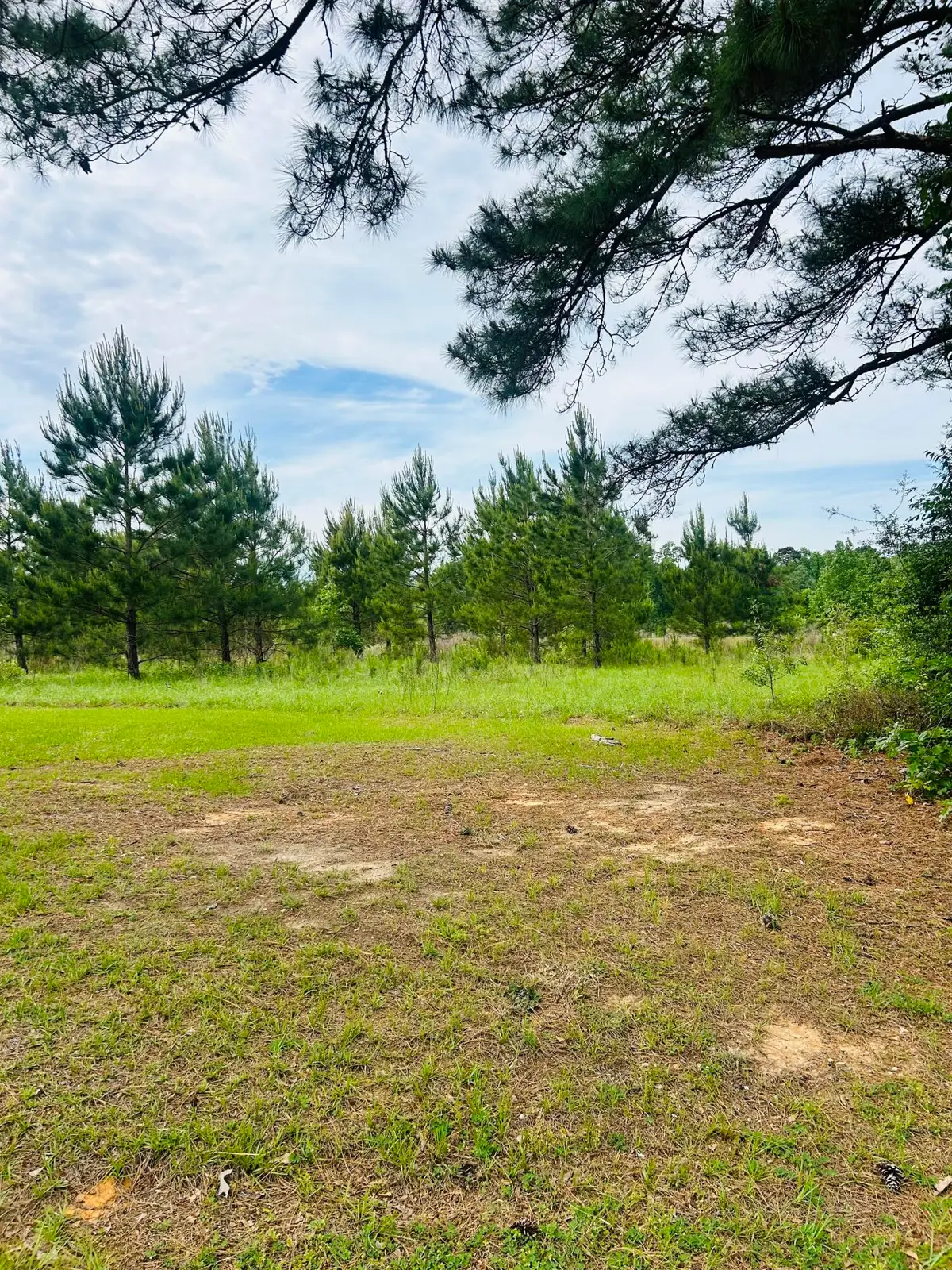 Tbd Martin Road, Pitkin, LA 70656 - #1