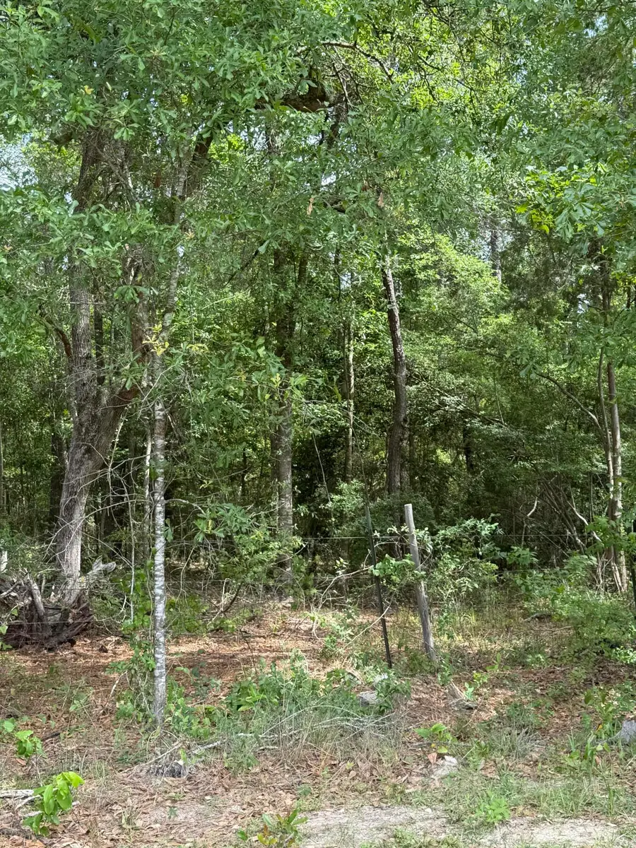 Louisiana 1147, Deridder, LA 70634 - #2