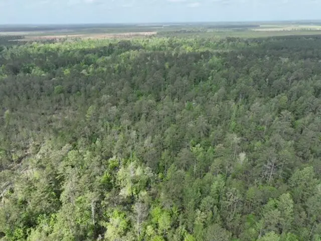 Bannister, Deridder, LA 70634 - #2