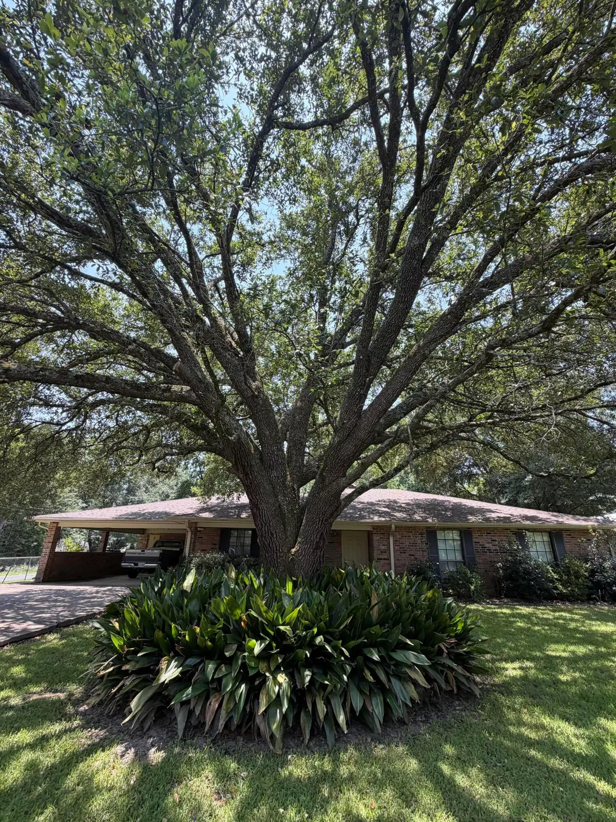 1201 Broad, Deridder, LA 70634 - #1