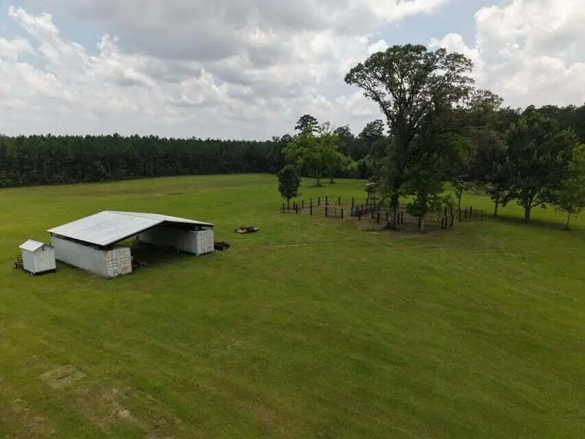 Tbd Greentown Cutoff Rd, Deridder, LA 70634 - #2