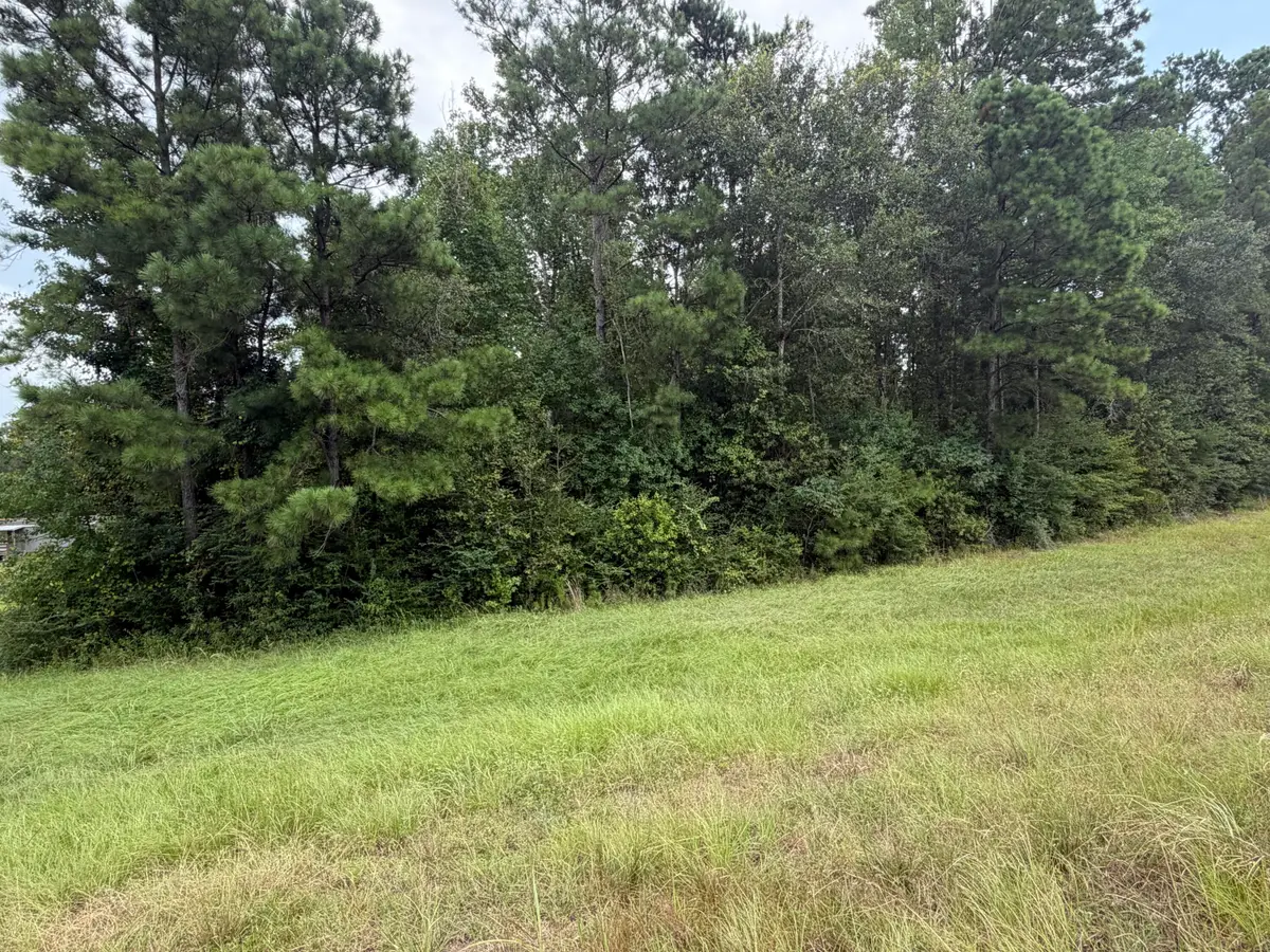Hwy 171, Longville, LA 70652 - #1