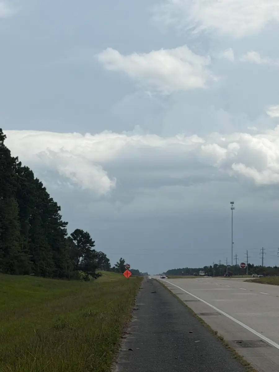 Hwy 171, Longville, LA 70652 - #2