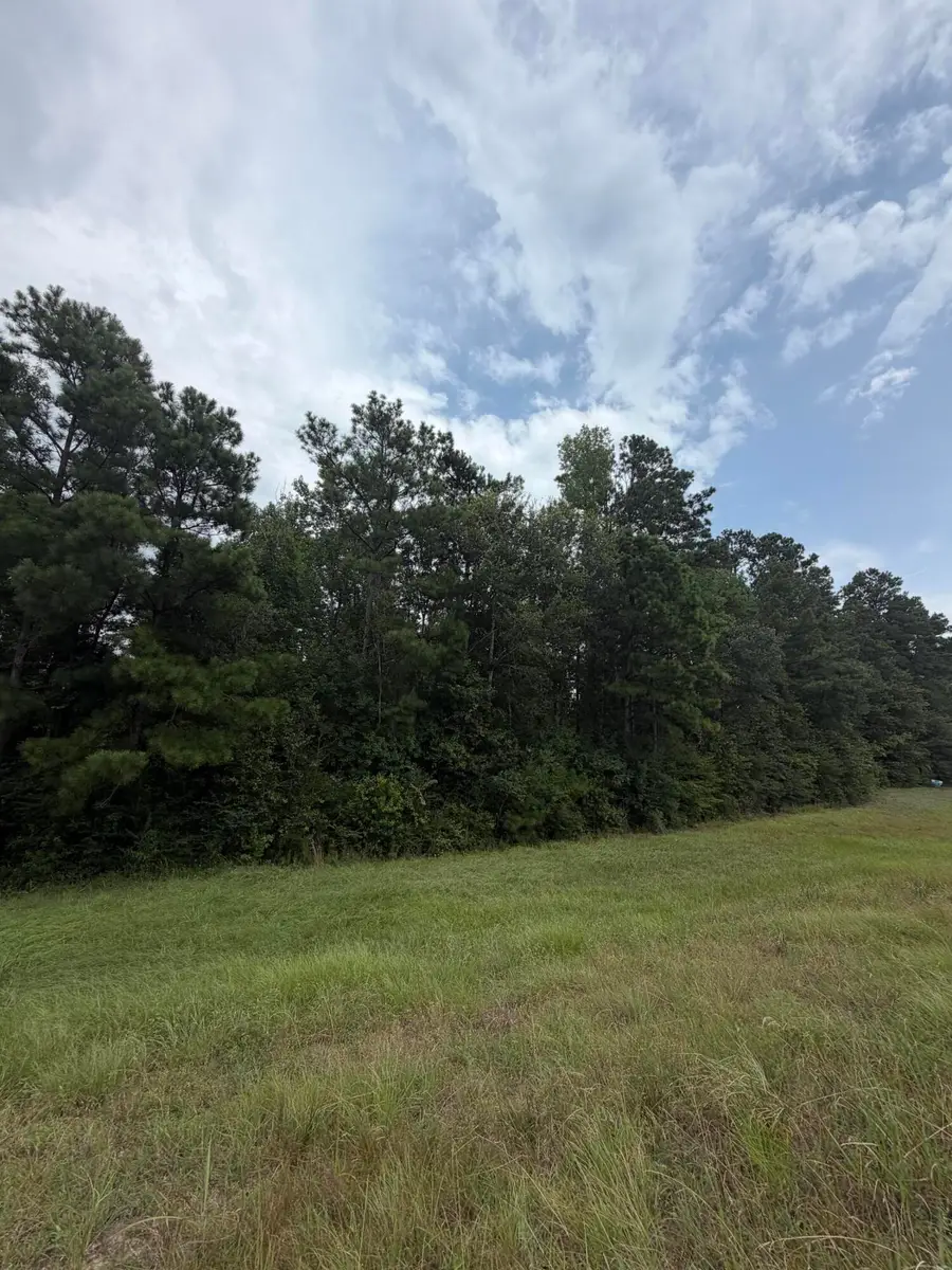 Hwy 171, Longville, LA 70652 - #3