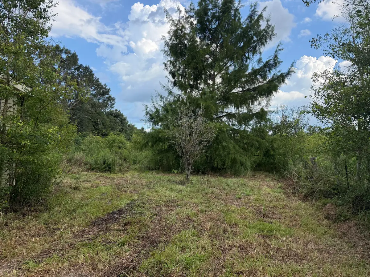 Tbd Hauser Rd, Deridder, LA 70634 - #1