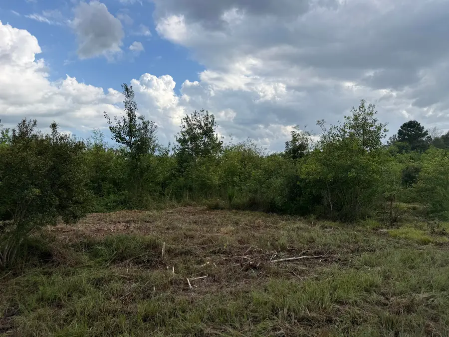 Tbd Hauser Rd, Deridder, LA 70634 - #3