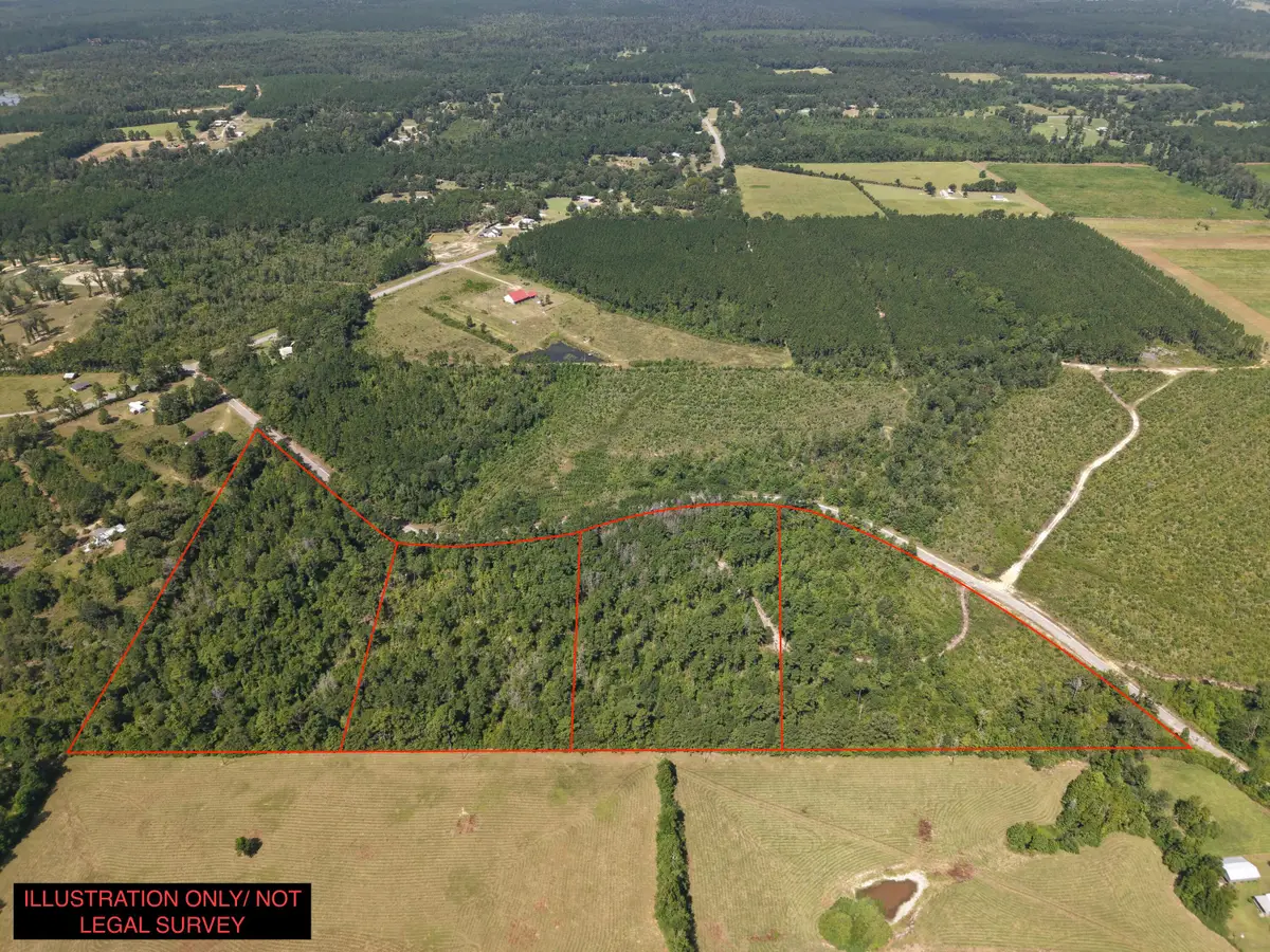 Lot 3 Charles Libick Rd, Deridder, LA 70634 - #1
