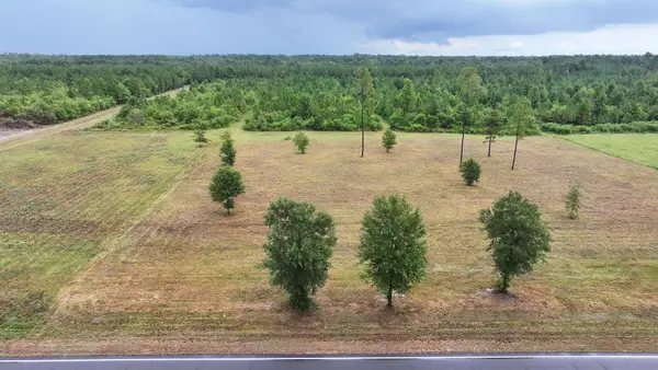 Hwy 113, Reeves, LA 70658