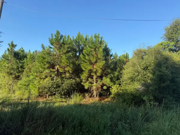 Tbd Hauser Rd, DeRidder, LA 70634