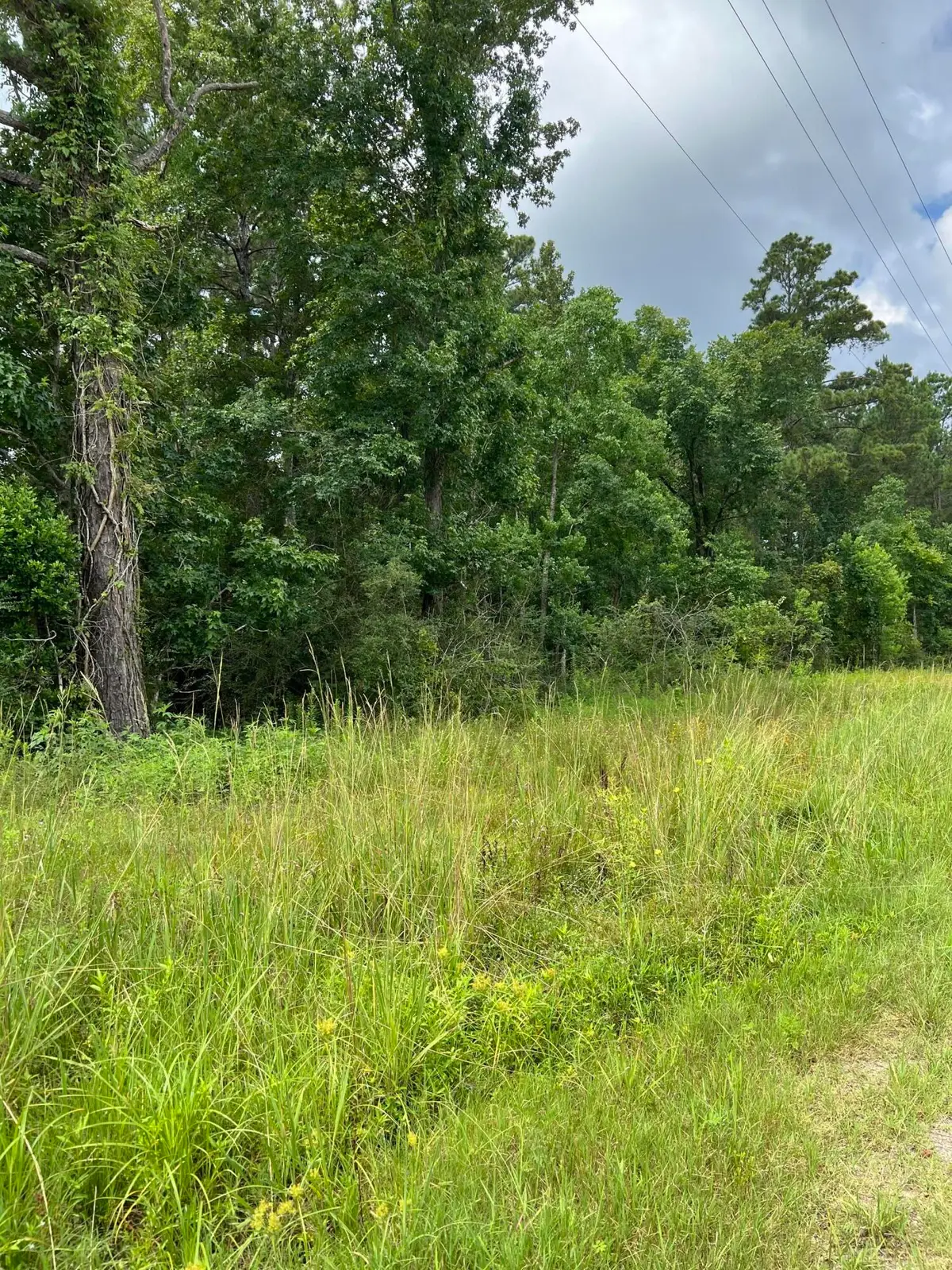 Tbd La-389, Merryville, LA 70653 - Image #1