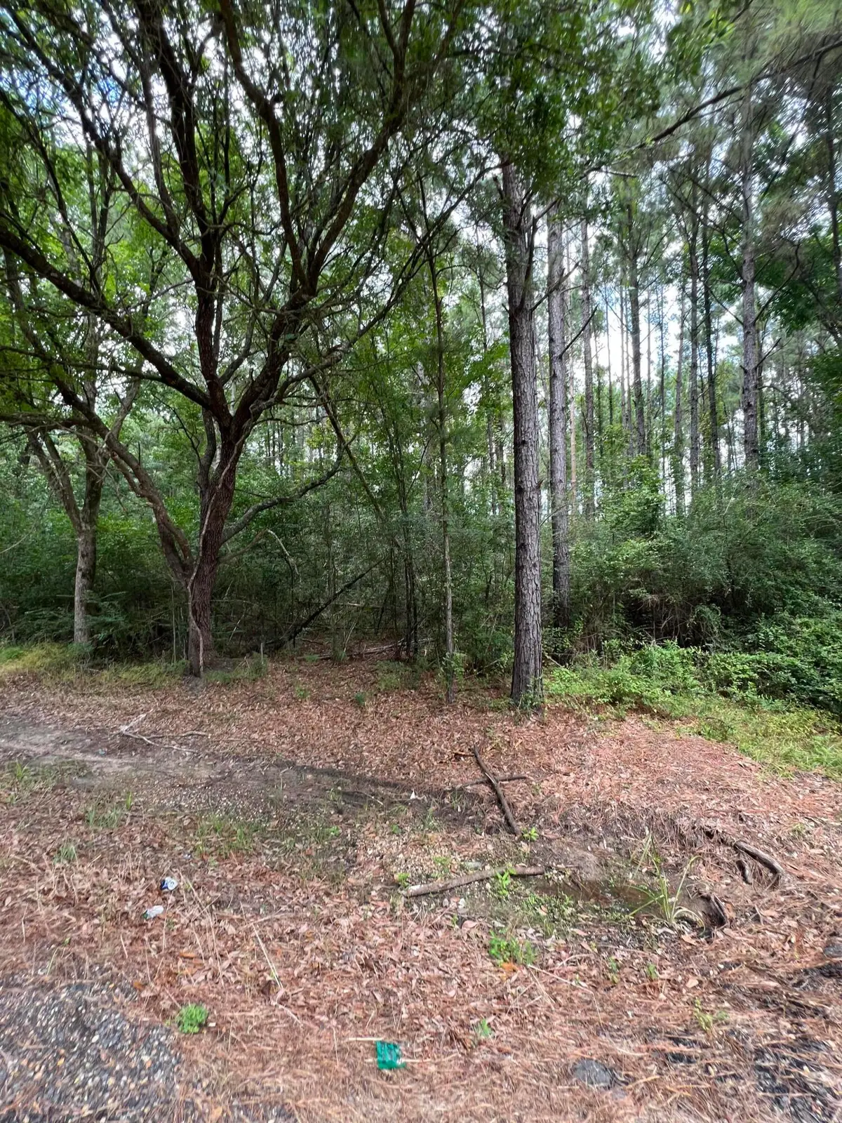 Tbd La-389, Merryville, LA 70653 - Image #1