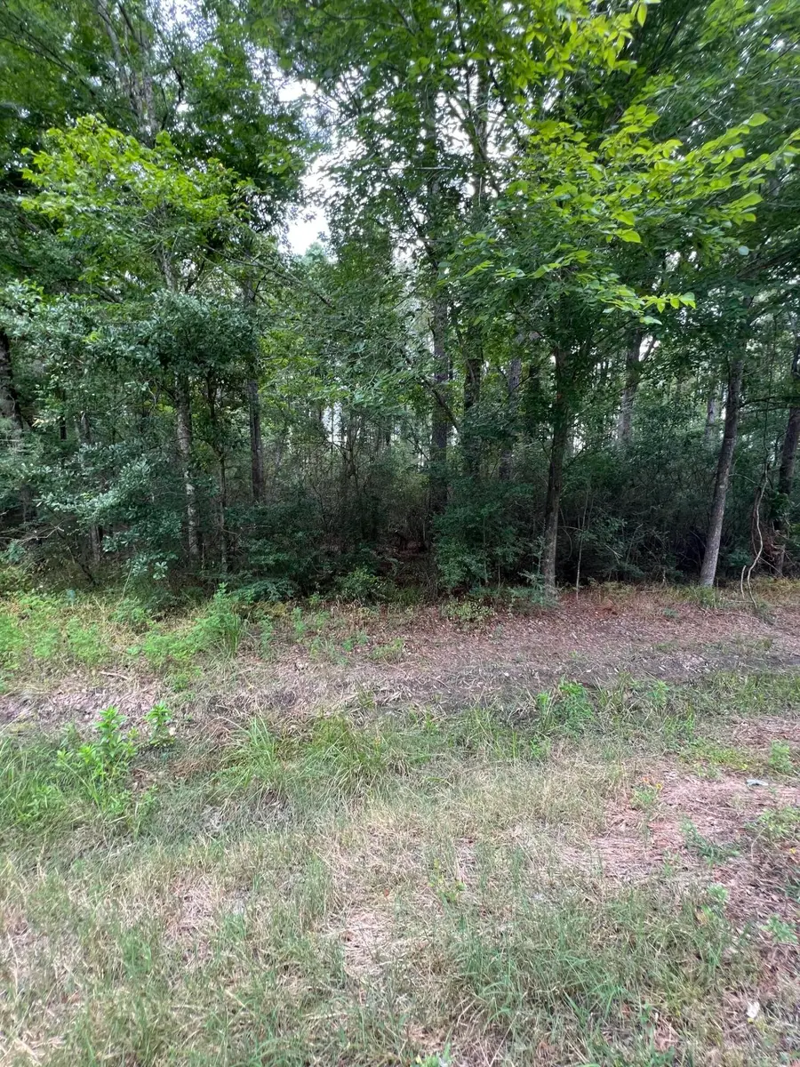 Tbd La-389, Merryville, LA 70653 - Image #2