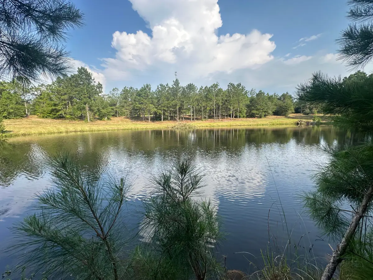 Tbd North Star Estates, Leesville, LA 71446 - Image #1