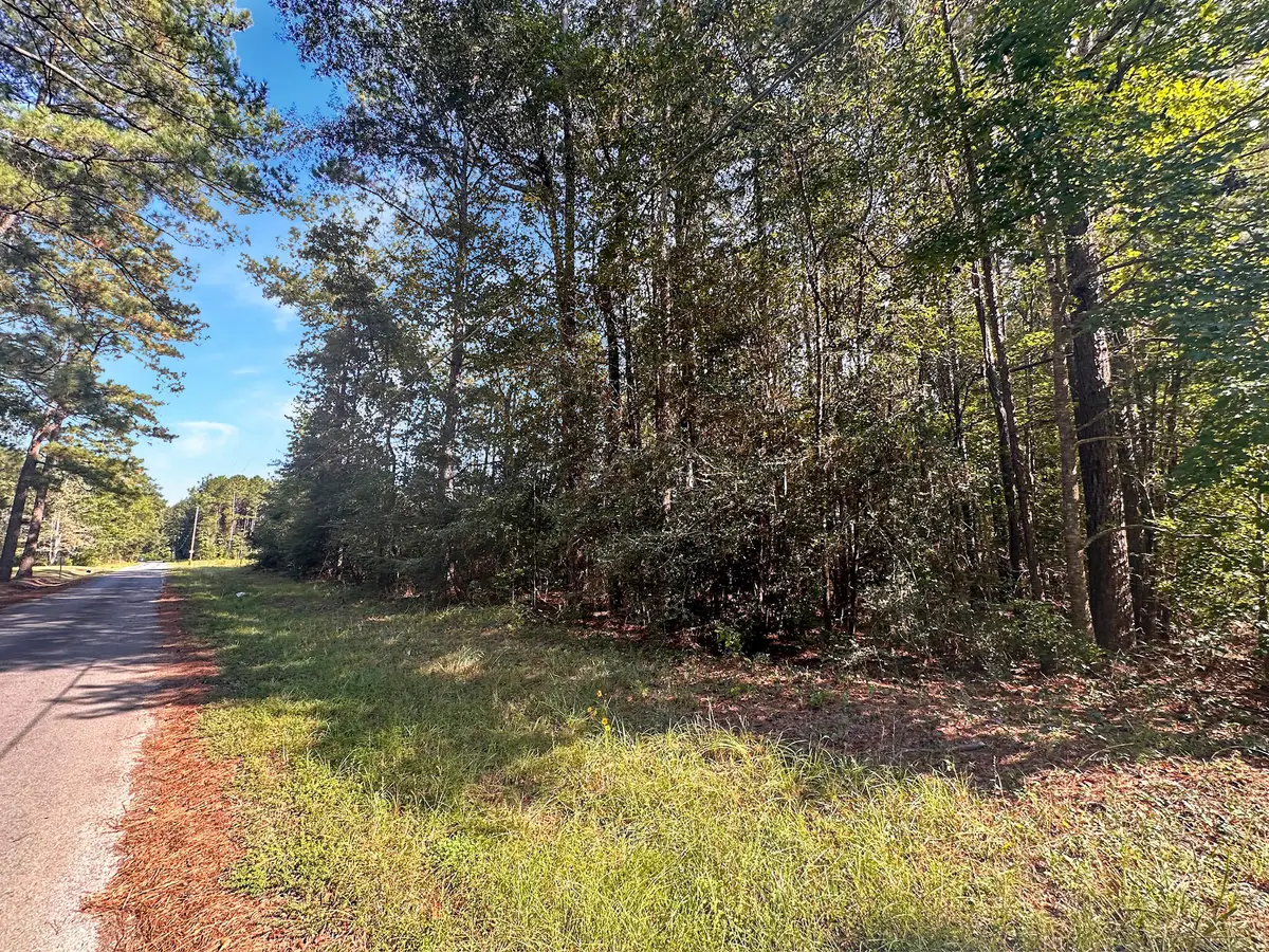 Tbd B And G Loop, Leesville, LA 71446 - Image #1