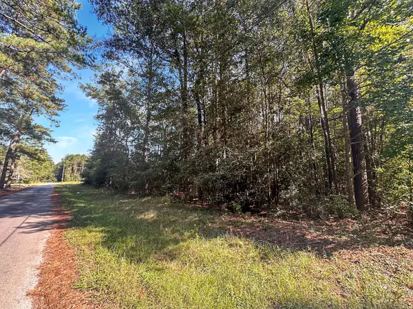 Tbd B And G Loop, Leesville, LA 71446