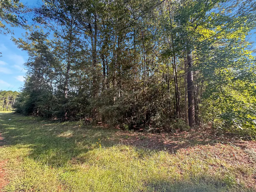 Tbd B And G Loop, Leesville, LA 71446 - Image #2