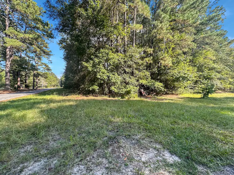Tbd B And G Loop, Leesville, LA 71446 - Image #3