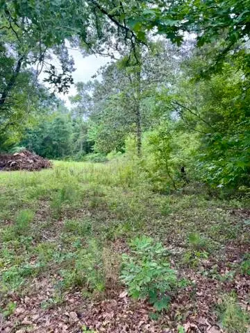 Tbd, Pitkin, LA 70656