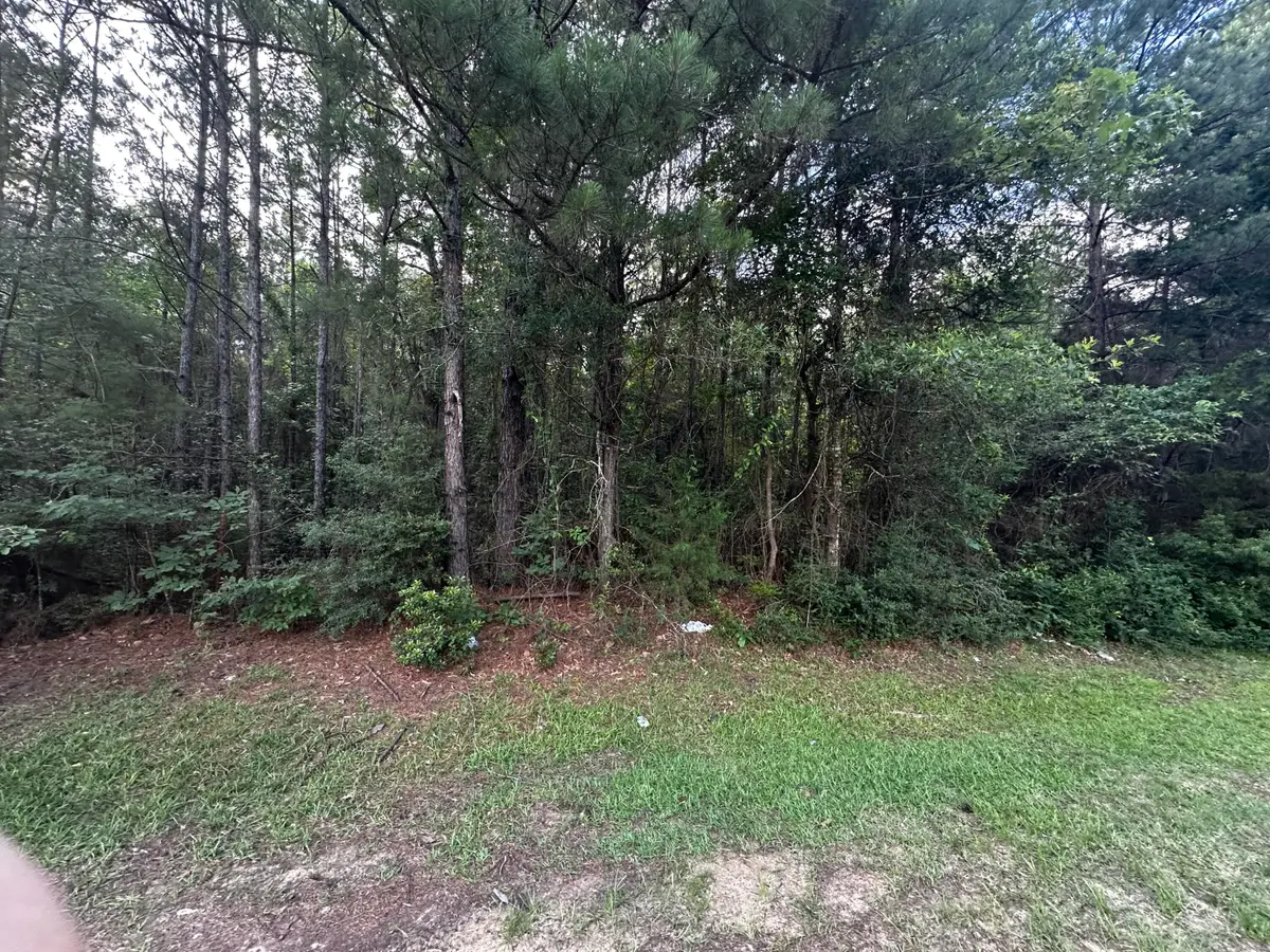 Ebenezer Cemetery Rd, Leesville, LA 71446 - #1