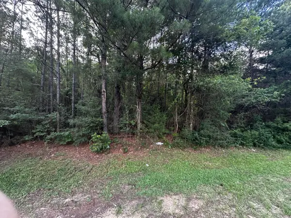 Ebenezer Cemetery Rd, Leesville, LA 71446