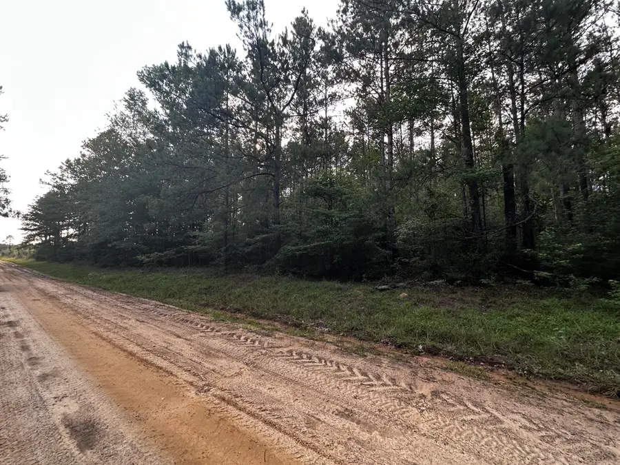 Ebenezer Cemetery Rd, Leesville, LA 71446 - #2