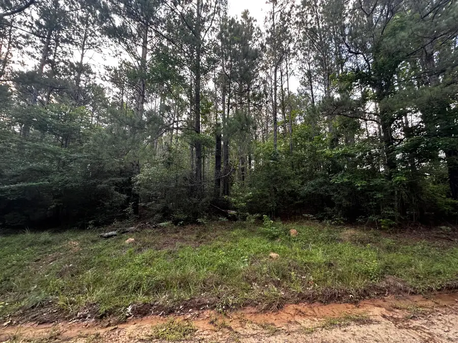 Ebenezer Cemetery Rd, Leesville, LA 71446 - #3