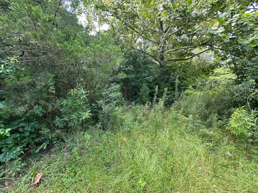 Boyd, Leesville, LA 71446 - #2
