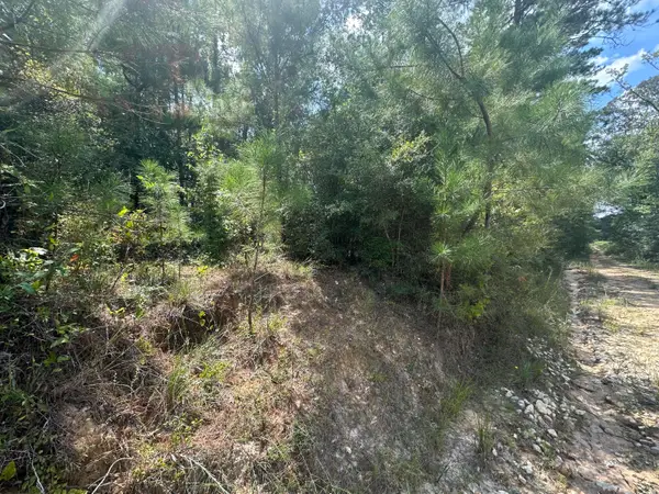 Tbd Tom Moore, Leesville, LA 71446