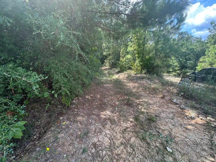 Tbd Tom Moore, Leesville, LA 71446 - #2