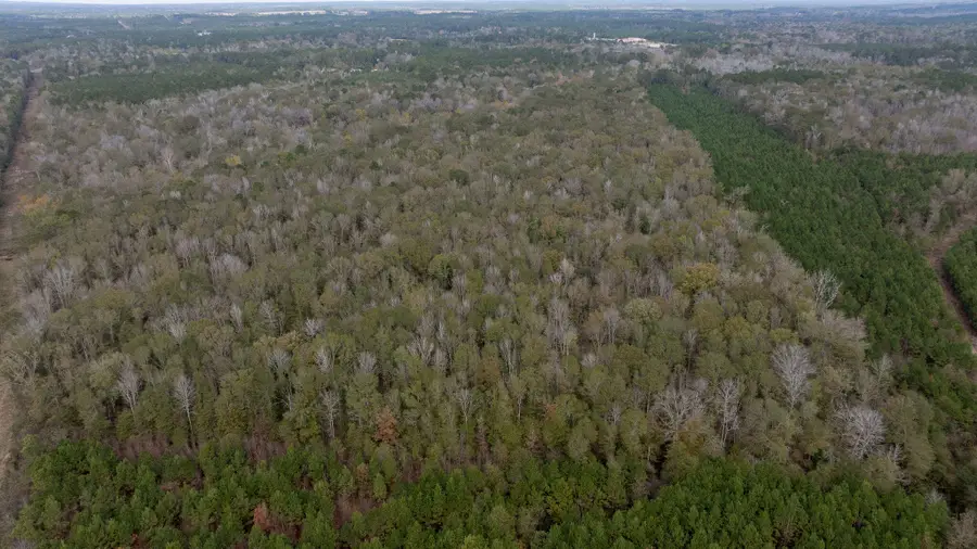 W Hawthorne, Leesville, LA 71446 - Image #3