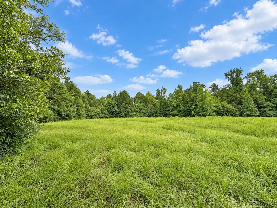 Tbd Hwy 10, Pitkin, LA 70656 - #3