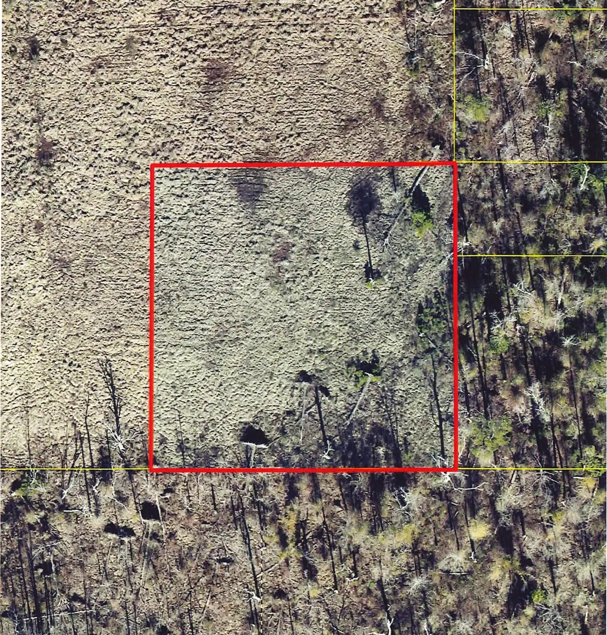 Tbd Shoemake Rd, Vinton, LA 70668 - Image #1