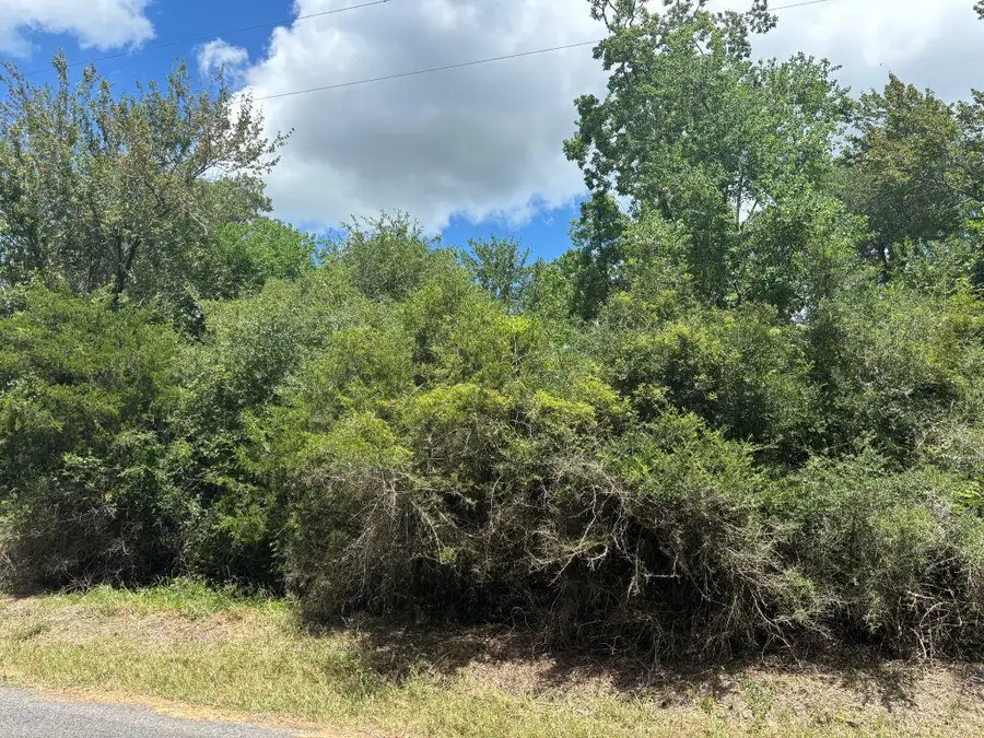 J Jardell Rd, Vinton, LA 70668 - Image #2