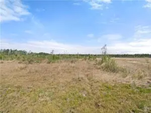 Rea Rd, Deridder, LA 70634 - Image #1