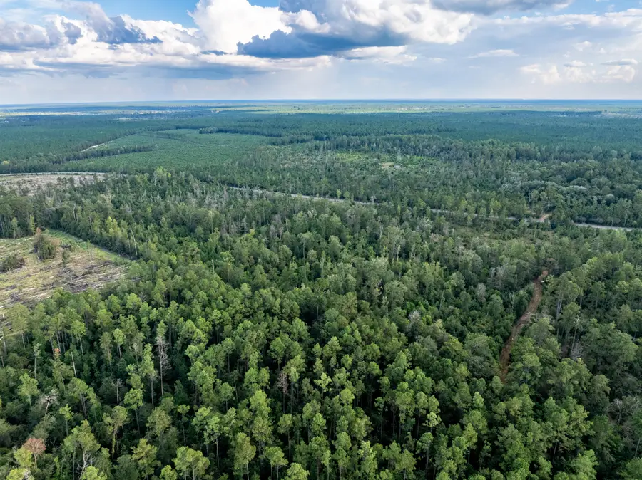 Hwy 109, Singer, LA 70660 - Image #3