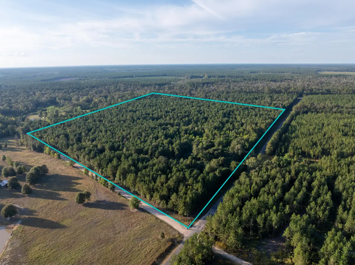 Burns Clark Rd, Singer, LA 70660 - Image #1