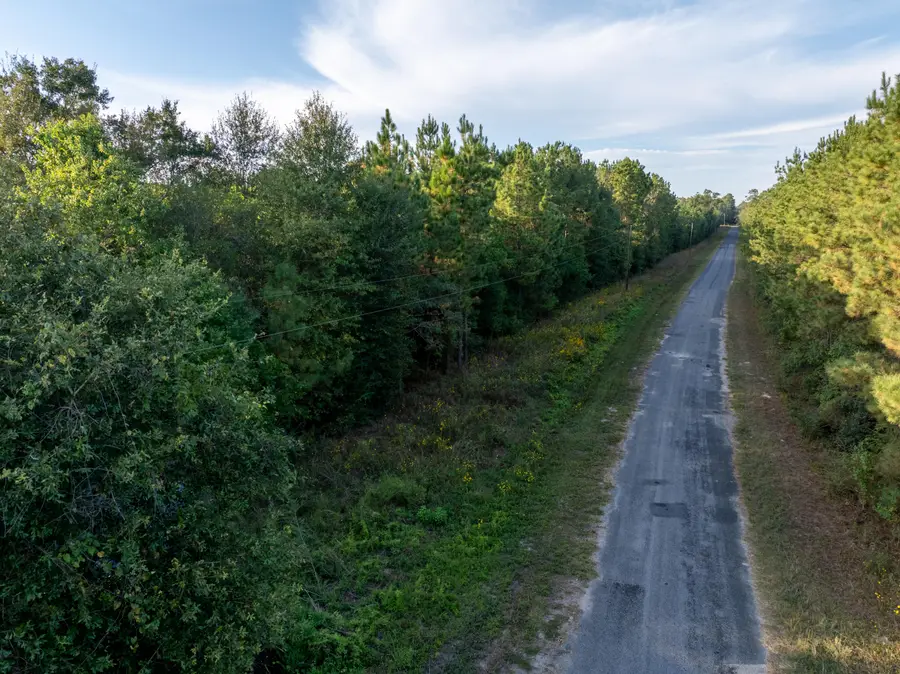 Burns Clark Rd, Singer, LA 70660 - Image #2