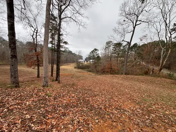 Tbd Stoney Creek Drive, Many, LA 71449