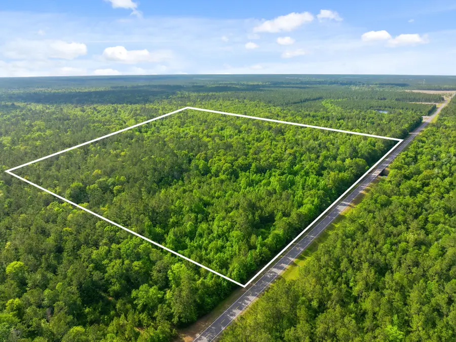16238 Highway 389, Merryville, LA 70653 - #3