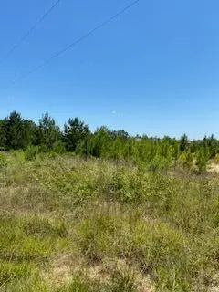 Stanley Rd, Leesville, LA 71446 - Image #2