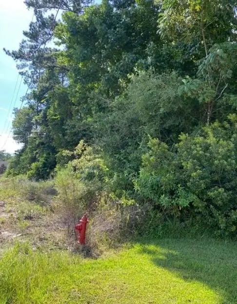 Ravenhurst Dr, Lake Charles, LA 70611 - Image #3