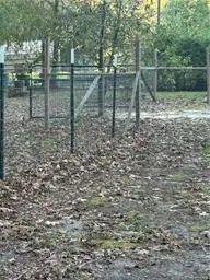 180 Dogwood Dr, Anacoco, LA 71403 - Image #3