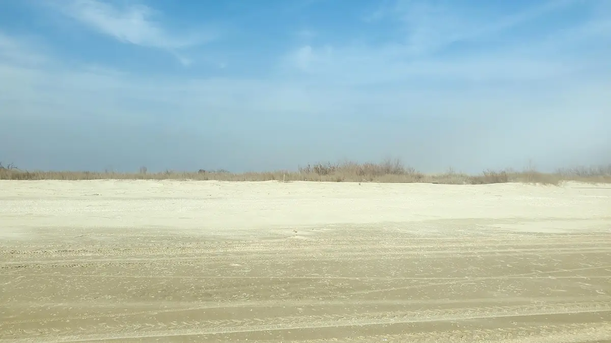 Long Beach Rd, Cameron, LA 70631 - Image #1