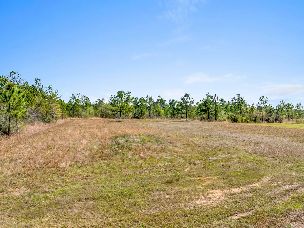 0 Highway 171, Ragley, LA 70657 - Image #1