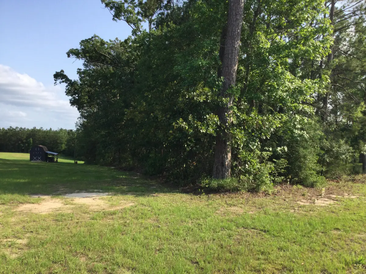 Stanley Rd, Leesville, LA 71446 - Image #1
