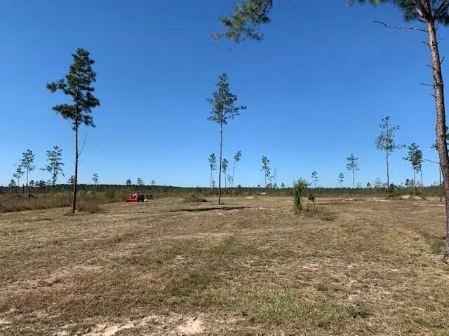 Camp Edgewood Rd, Dequincy, LA 70633 - Image #1